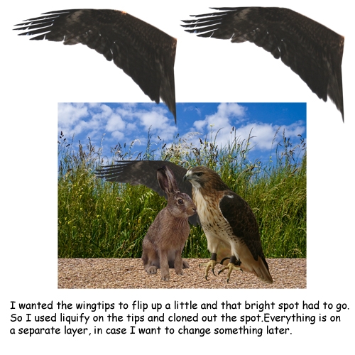 Creation of Truce: Step 4